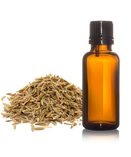 Caraway Oil 